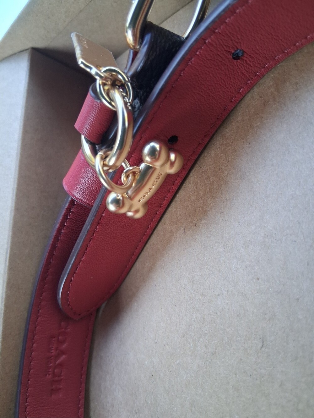 Coach Dog Collar - Picture 4 of 16